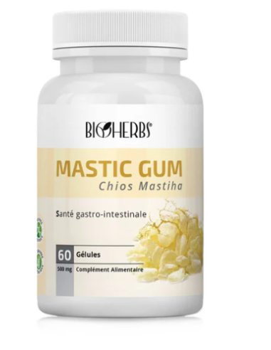 MASTIC GUM B/60