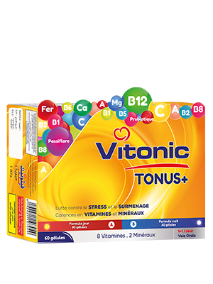 VITAL VITONIC TONUS+ JOUR ET NUIT 60GEL